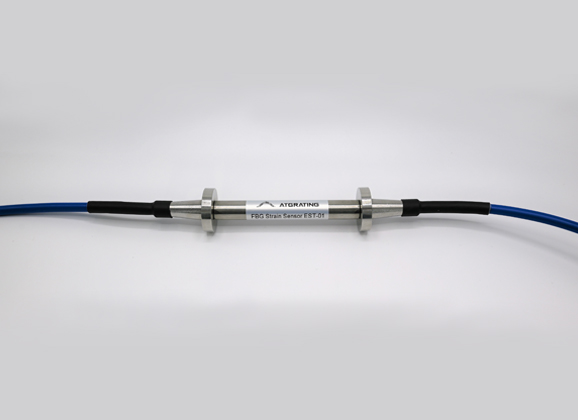 Fiber Optic Strain